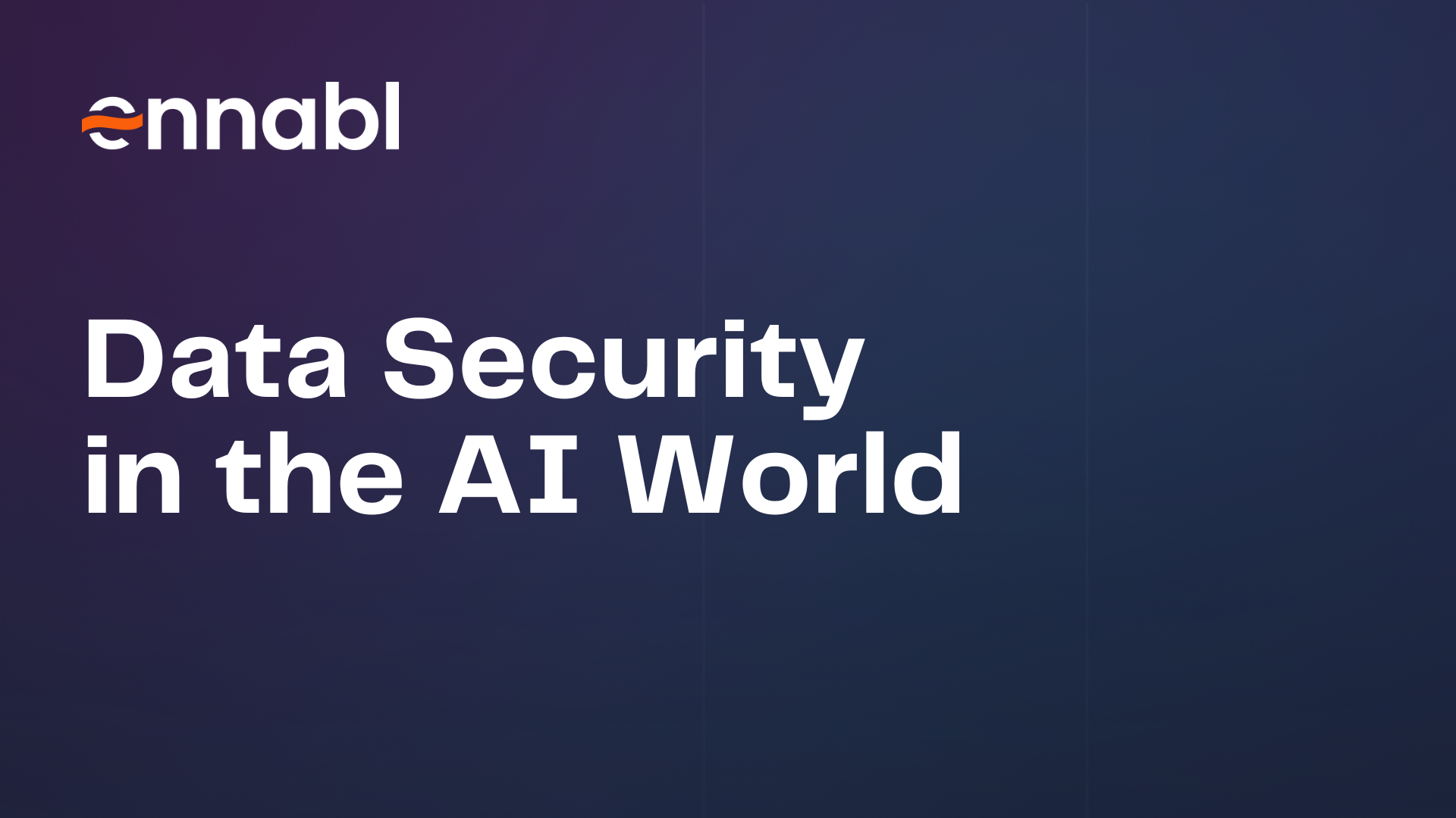 Data Security in the AI World